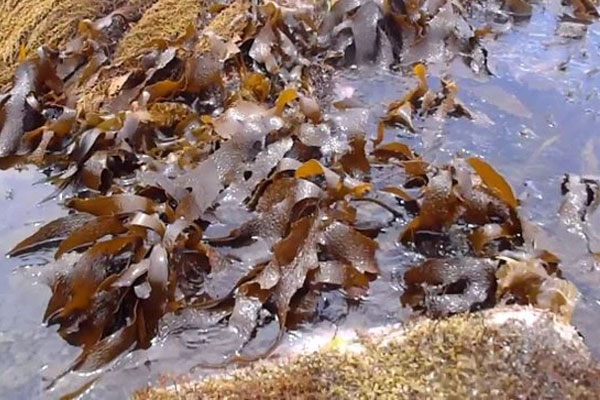 68 bệnh nhân Covid-19 tại Chí Linh tổn thương phổi-2