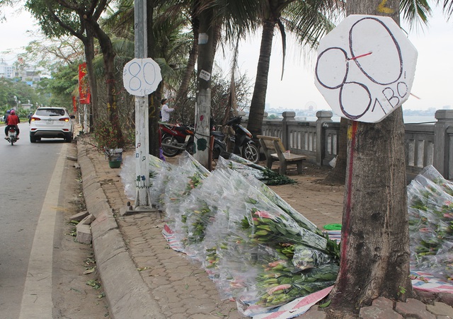 Hà Nội: Hoa tươi đổ đống đầy vỉa hè, nhà vườn bất lực nhìn giá lao dốc-1