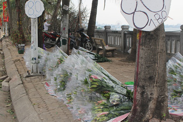 Hoa ly hàng xịn giảm giá sập sàn rẻ như rau, 7.000 đồng/cành sau Tết-6