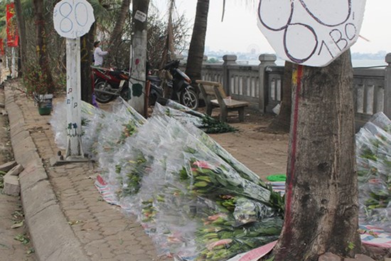 Hà Nội: Hoa tươi 