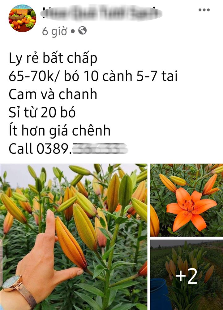 Hoa ly hàng xịn giảm giá sập sàn rẻ như rau, 7.000 đồng/cành sau Tết-3