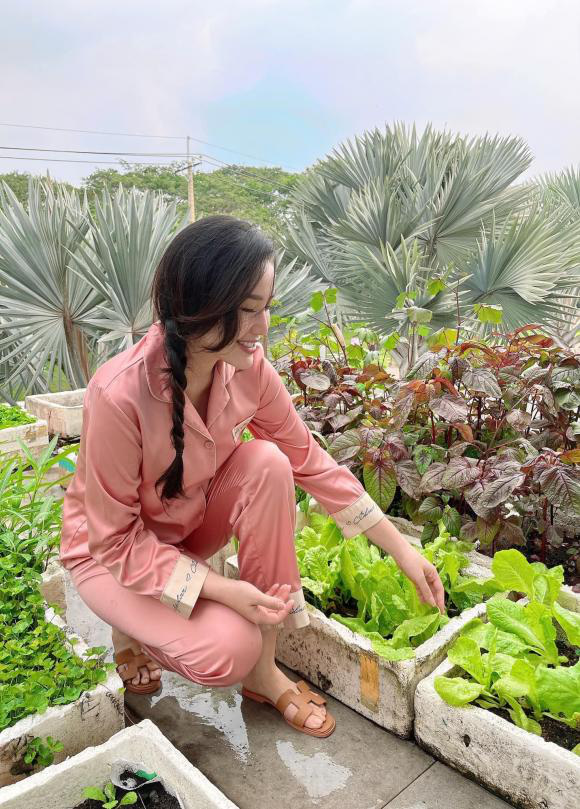 Bảo Thy khoe vườn rau mini trên sân thượng do tự tay cô chăm sóc-5