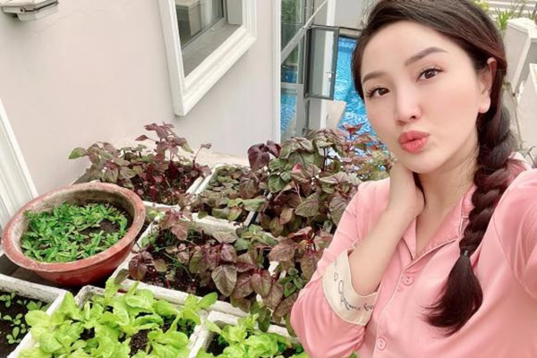 Sân thượng 83m² phủ kín rau quả sạch chỉ sau gần 1 tháng gieo trồng của cô giáo về hưu ở Hà Nội-17