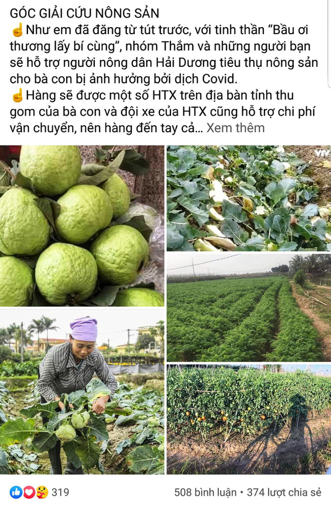 Dân mạng chung tay giải cứu nông sản giúp bà con nông dân Hải Dương, nhìn giá mà thương quặn lòng!-3