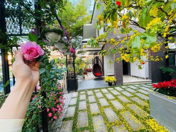 Bên trong biệt thự 20 tỷ của Nhật Kim Anh, hoa trải từ ngõ vào nhà, cây hơn nửa tỷ-3