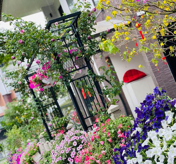 Bên trong biệt thự 20 tỷ của Nhật Kim Anh, hoa trải từ ngõ vào nhà, cây hơn nửa tỷ-9