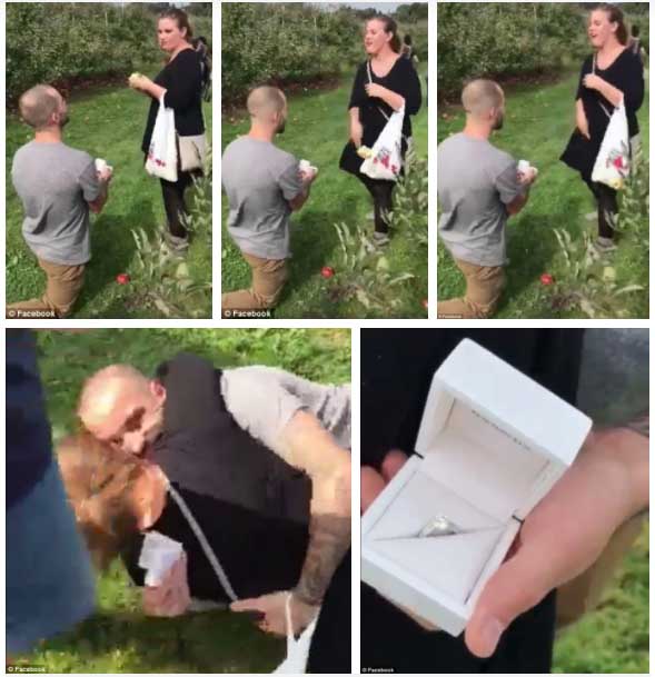 Quỳ xuống cầu hôn bạn gái giữa vườn táo, chàng trai bị ném thẳng quả táo vào mặt, kết cục sau đó khiến tất cả ngỡ ngàng-2