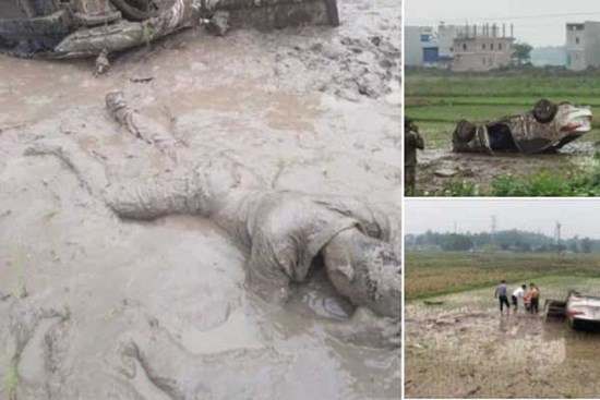 Ô tô cày nát thửa ruộng rồi lật ngửa, người đàn ông lấm lem nằm bẹp dưới bùn và nguyên nhân phía sau khiến ai nấy tò mò