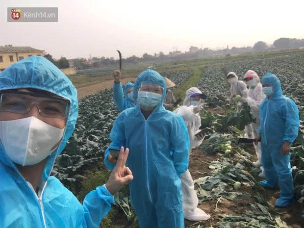Chuyện người Hà Nội giải cứu hàng chục tấn nông sản: Hàng bán được, bà con Hải Dương mừng lắm-1