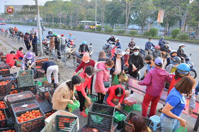 Chuyện người Hà Nội giải cứu hàng chục tấn nông sản: Hàng bán được, bà con Hải Dương mừng lắm-6