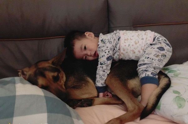 Bị biến thành bảo mẫu bất đắc dĩ cho cậu chủ nhỏ, vẻ mặt Tôi chán cái nhà này lắm rồi của chú chó vừa buồn cười vừa thương-6