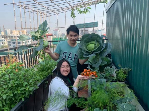 Ca sĩ Trọng Tấn và con gái thu hoạch rau trồng trên tầng thượng-6