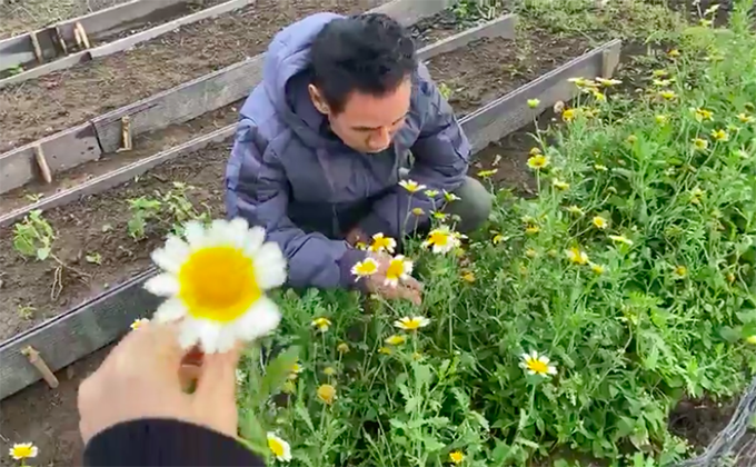 Khu vườn rộng lớn có cả loại ớt nửa tỉ đồng/1kg của Lý Hải - Minh Hà-10