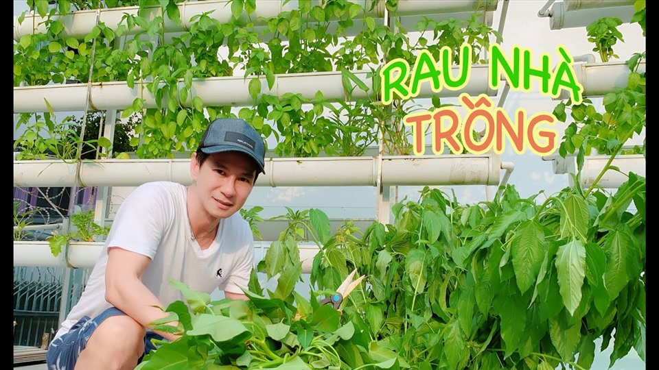 Khu vườn rộng lớn có cả loại ớt nửa tỉ đồng/1kg của Lý Hải - Minh Hà-15