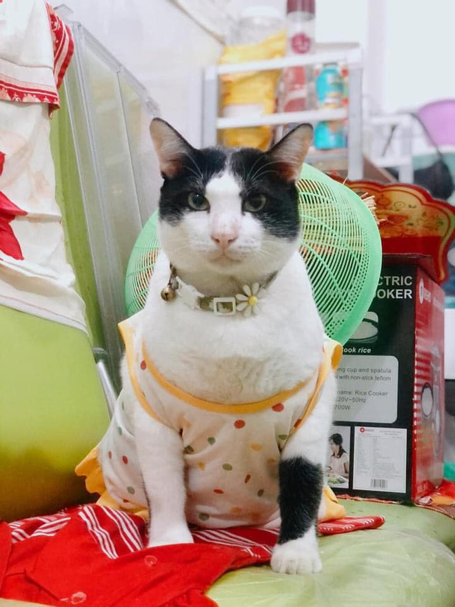 Mẹ bảo giữ lại đồ hồi bé cho cháu mặc lấy vía, cô gái tím mặt khi biết danh tính đứa con bất đắc dĩ-2