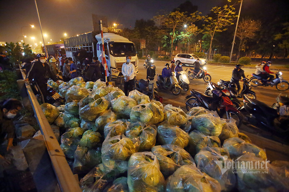 Một đêm giải cứu: 250 tấn rau, 10 vạn trứng gà Hải Dương về Hà Nội-2