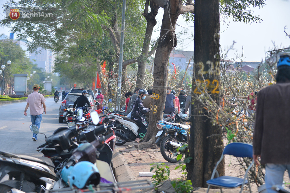 Ảnh: Hàng trăm người dân Hà Nội đổ xô đi mua hoa lê về chơi Rằm tháng Giêng-6