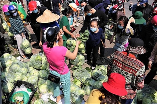 Hàng chục tấn nông sản từ Hải Dương, xe cứ chở tới là có người mua hết