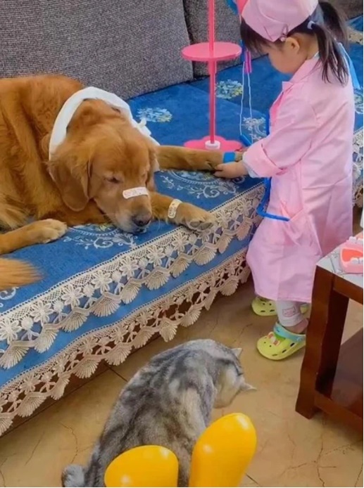 Bé gái đóng vai bác sĩ, nhìn vẻ mặt cam chịu số phận” của các bệnh nhân mà người xem cười rụng răng”-1