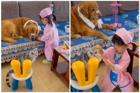 Bé gái đóng vai bác sĩ, nhìn vẻ mặt “cam chịu số phận” của các bệnh nhân mà người xem cười “rụng răng”