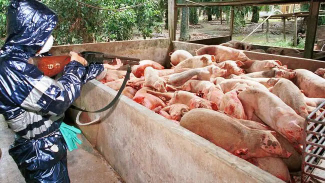 Cảnh báo một loại virus gây chết người gấp 75 lần virus SARS-CoV-2 và có thể trở thành đại dịch tiếp theo-3