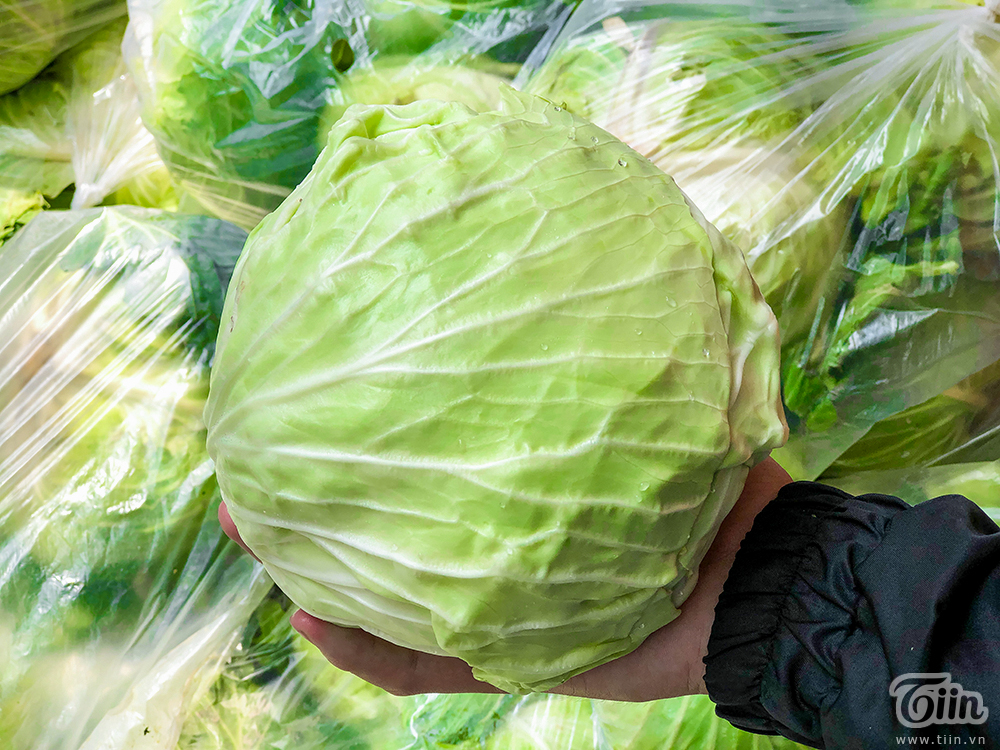 Người Sài Gòn giải cứu súp lơ, bắp cải giúp nông dân mùa dịch: Được từng nào, hay từng đó-10