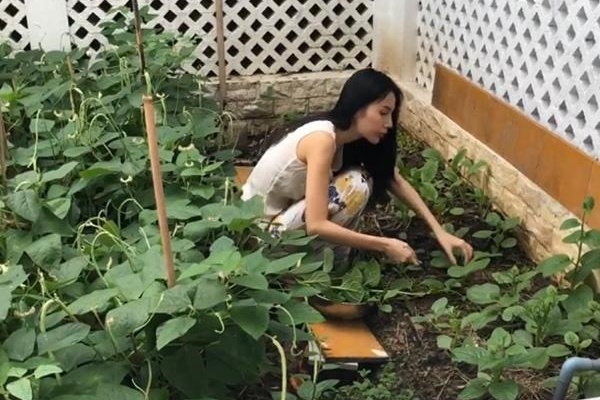 Bên trong biệt thự 50 tỷ đồng của Mạc Văn Khoa: Rộng 500 mét vuông, sân vườn sức chứa khủng tận 40 người-8