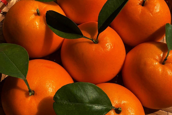 Xôi ngũ sắc phúc lộc cúng Rằm tháng Giêng đắt hàng-6