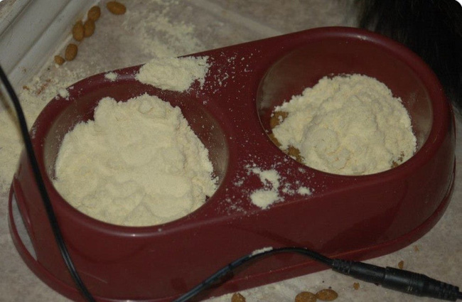 Cười bể bụng với chùm ảnh các mẹ khoe chiến tích, xem xong ai cũng phải vỗ ngực Hóa ra mình không phải bà mẹ vụng nhất-2