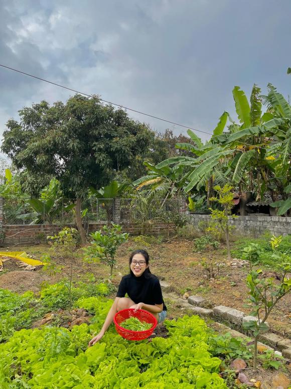 Vườn rau sạch, nhiều cây ăn quả của gia đình Hoa hậu Đỗ Thị Hà ở Thanh Hóa-4