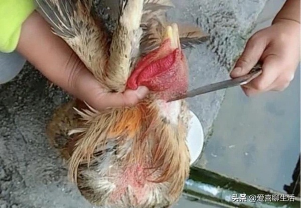 Rằm tháng Giêng ăn Tết Nguyên Tiêu: Người Trung Hoa cổ xưa khuyên nên kiêng 3 việc, làm 3 việc để tránh rước họa vào thân, giữ tài lộc cả năm-5