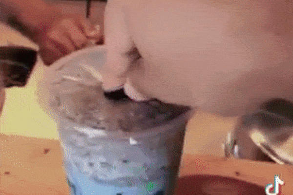 Ống hút không có đầu nhọn thường rất khó cắm thủng nắp nilon, nhưng chỉ cần một thao tác nhỏ là có thể đâm xuyên thật dễ dàng