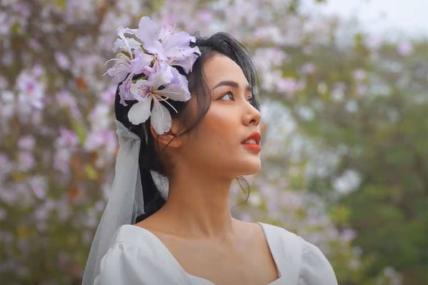 Về Hà Nội tháng 3, ngắm hoa ban, hoa sưa nở rực từng góc phố-1