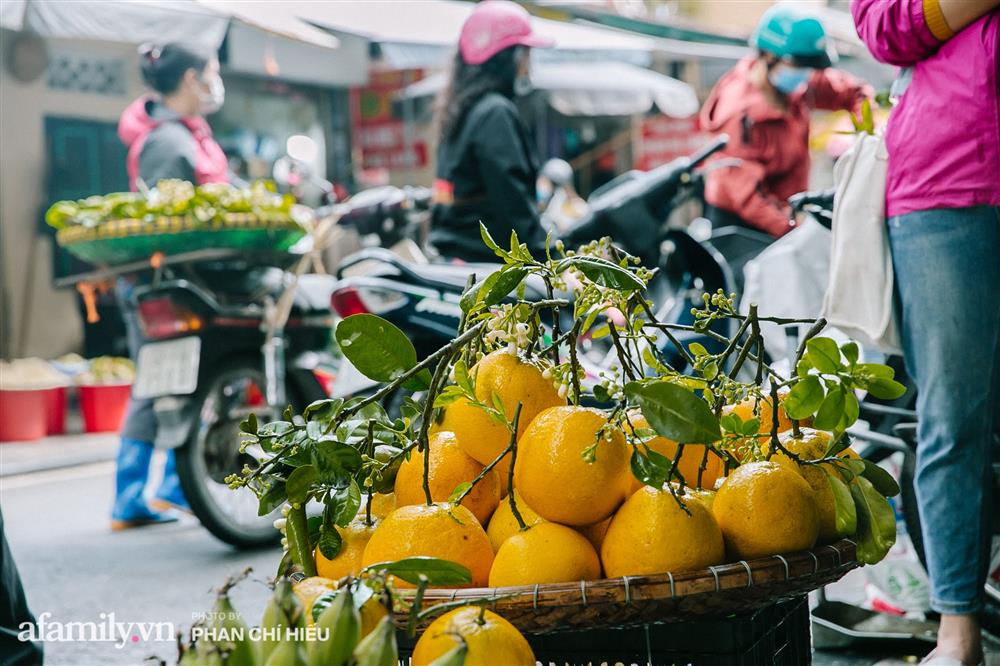 Hàng bưởi Diễn da vàng óng có từng búi hoa tươi giá tận 100k/quả, bà chủ thu cả chục triệu mỗi ngày!-13