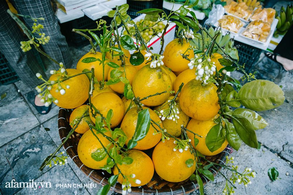 Hàng bưởi Diễn da vàng óng có từng búi hoa tươi giá tận 100k/quả, bà chủ thu cả chục triệu mỗi ngày!-2