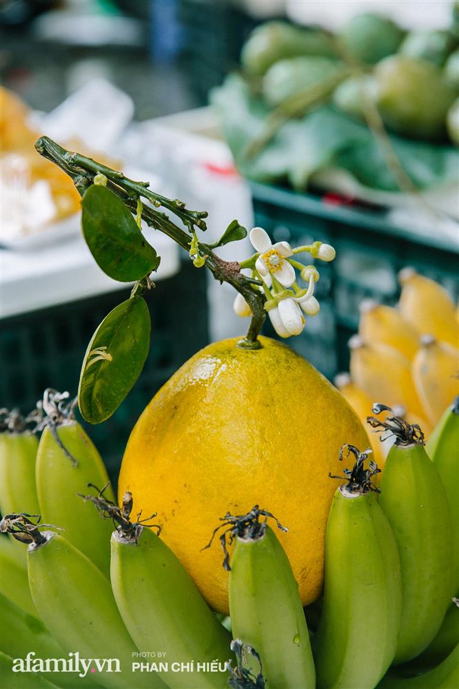 Hàng bưởi Diễn da vàng óng có từng búi hoa tươi giá tận 100k/quả, bà chủ thu cả chục triệu mỗi ngày!-6