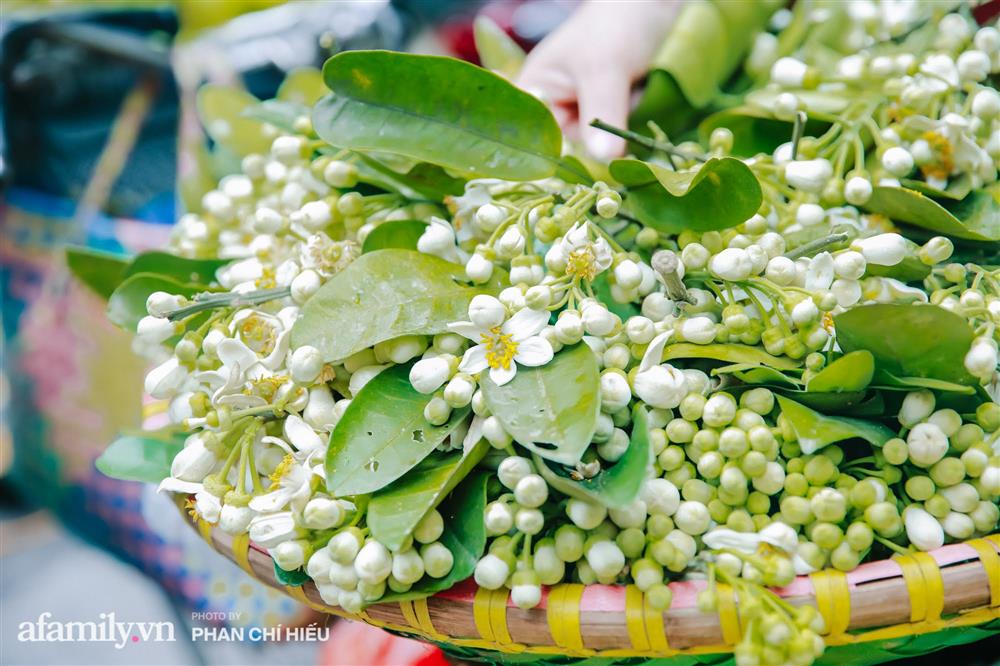 Hàng bưởi Diễn da vàng óng có từng búi hoa tươi giá tận 100k/quả, bà chủ thu cả chục triệu mỗi ngày!-15