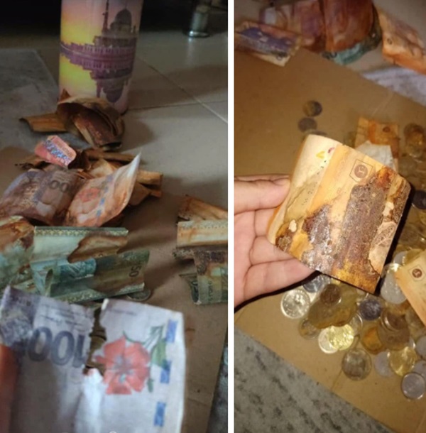 Nhét tiền tiết kiệm vào heo đất tự chế, đến ngày đập lợn người phụ nữ phát hoảng với cảnh tượng trước mắt, dân mạng thi nhau an ủi-1