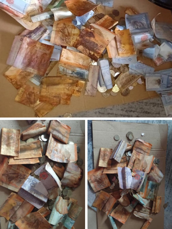 Nhét tiền tiết kiệm vào heo đất tự chế, đến ngày đập lợn người phụ nữ phát hoảng với cảnh tượng trước mắt, dân mạng thi nhau an ủi-2