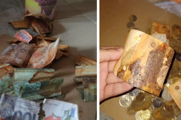 Đính hôn từ bé: Hủ tục ép duyên lạc hậu tước đoạt hạnh phúc của những đứa con ngoan ở nông thôn Trung Quốc-4