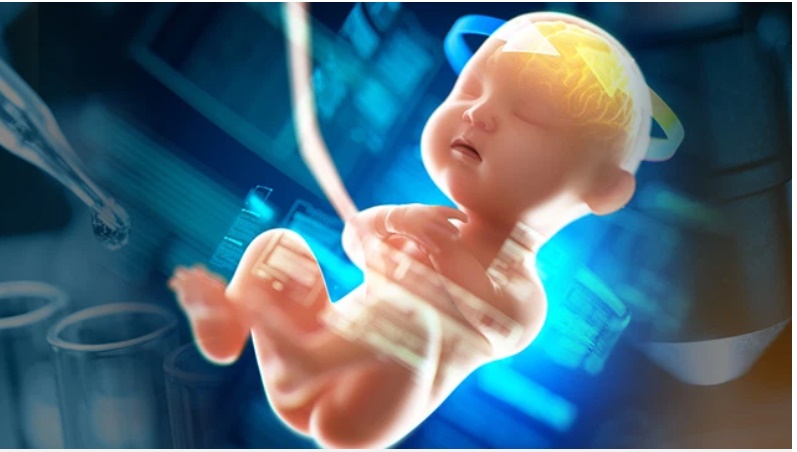 Hồn ma sinh con: Hiện tượng bí ẩn lý giải cho câu chuyện người bố xét nghiệm ADN với con trai lại cho ra kết quả chú - cháu-1