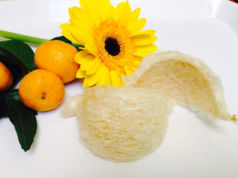 4 loại chất lỏng của động vật chính là mỏ vàng, bán đi kiếm được cả núi tiền-3