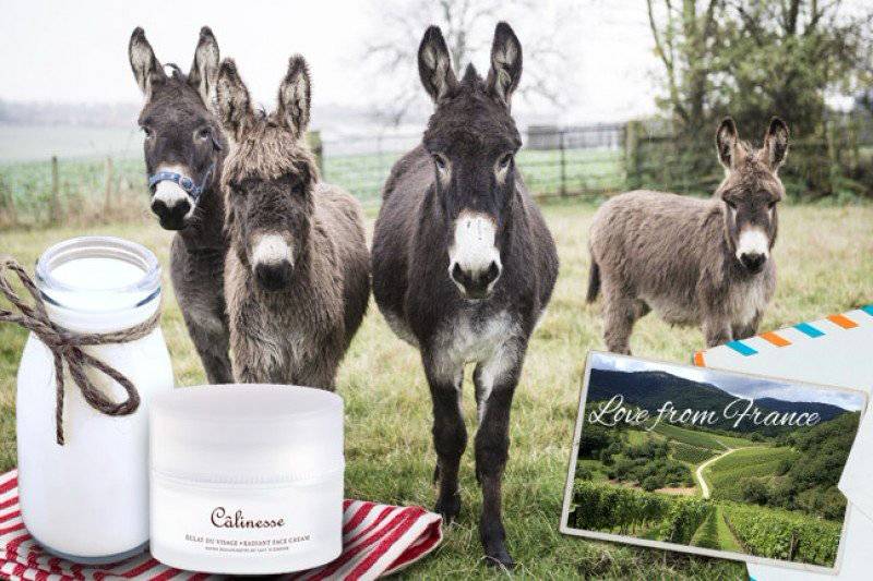 4 loại chất lỏng của động vật chính là mỏ vàng, bán đi kiếm được cả núi tiền-1