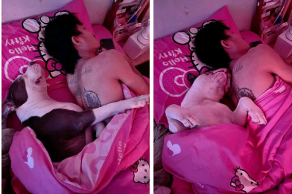 Màn xử lý trà xanh đỉnh cao của cô nàng thông minh khiến cho ả ta thoạt đầu thì mừng húm, đến cuối cùng sáng mắt ra bởi đường dài mới biết ngựa hay-3