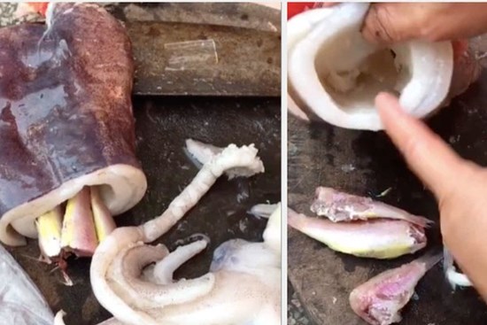 Mua mực ở Vũng Tàu, cô gái tố bị người bán lừa với mánh khoé siêu tinh vi, dân mạng thì nổ ra tranh cãi bởi chi tiết này