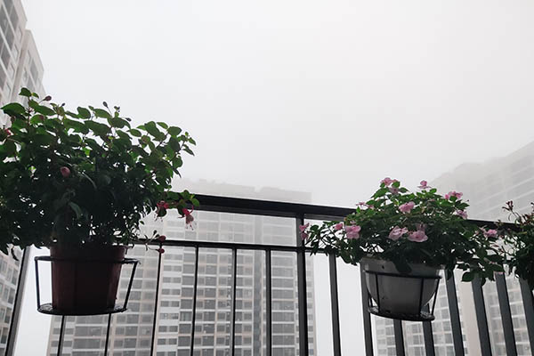 Dự báo thời tiết 2/3, miền Bắc mưa giông-2