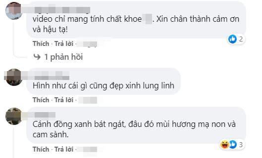 Đi dặm lúa để vòng 1 như rơi ra ngoài, bà Tưng ăn đá tảng-4