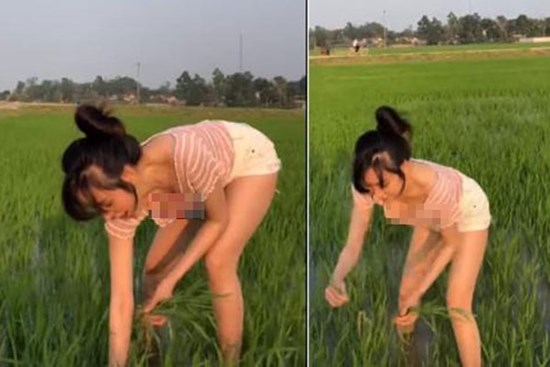 Đi dặm lúa để vòng 1 như rơi ra ngoài, bà Tưng 'ăn đá tảng'