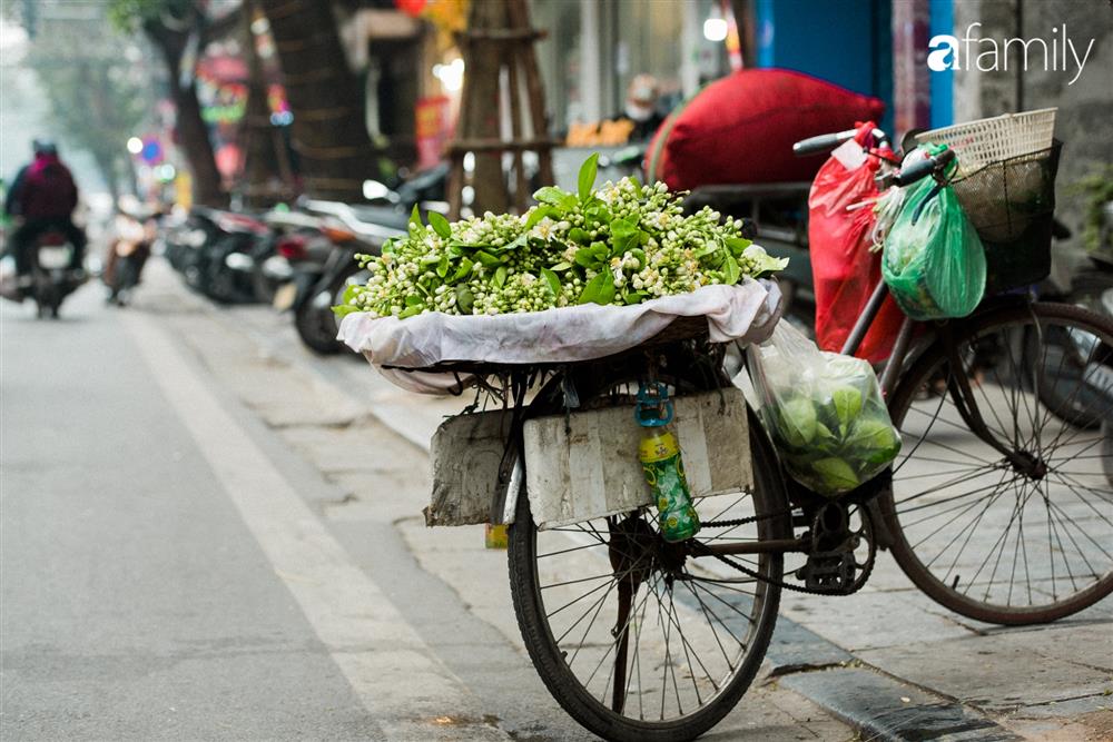 Vào mùa hoa bưởi thơm ngào ngạt, giá từ 200.000/kg và cách lựa hoa chuẩn chỉnh-1