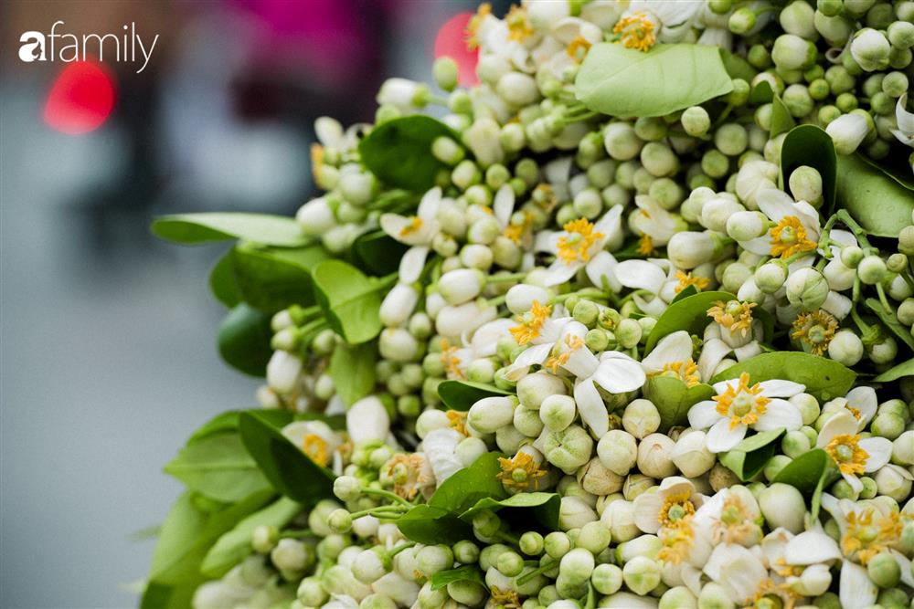 Vào mùa hoa bưởi thơm ngào ngạt, giá từ 200.000/kg và cách lựa hoa chuẩn chỉnh-3